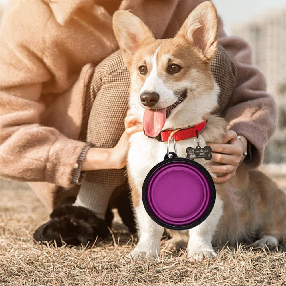 Premium Large Collapsible Dog Bowls - 34Oz Portable Travel Dishes with Carabiner Clip (2 Pack: Purple & Red)