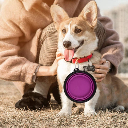 Premium Large Collapsible Dog Bowls - 34Oz Portable Travel Dishes with Carabiner Clip (2 Pack: Purple & Red)