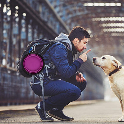 Premium Large Collapsible Dog Bowls - 34Oz Portable Travel Dishes with Carabiner Clip (2 Pack: Purple & Red)